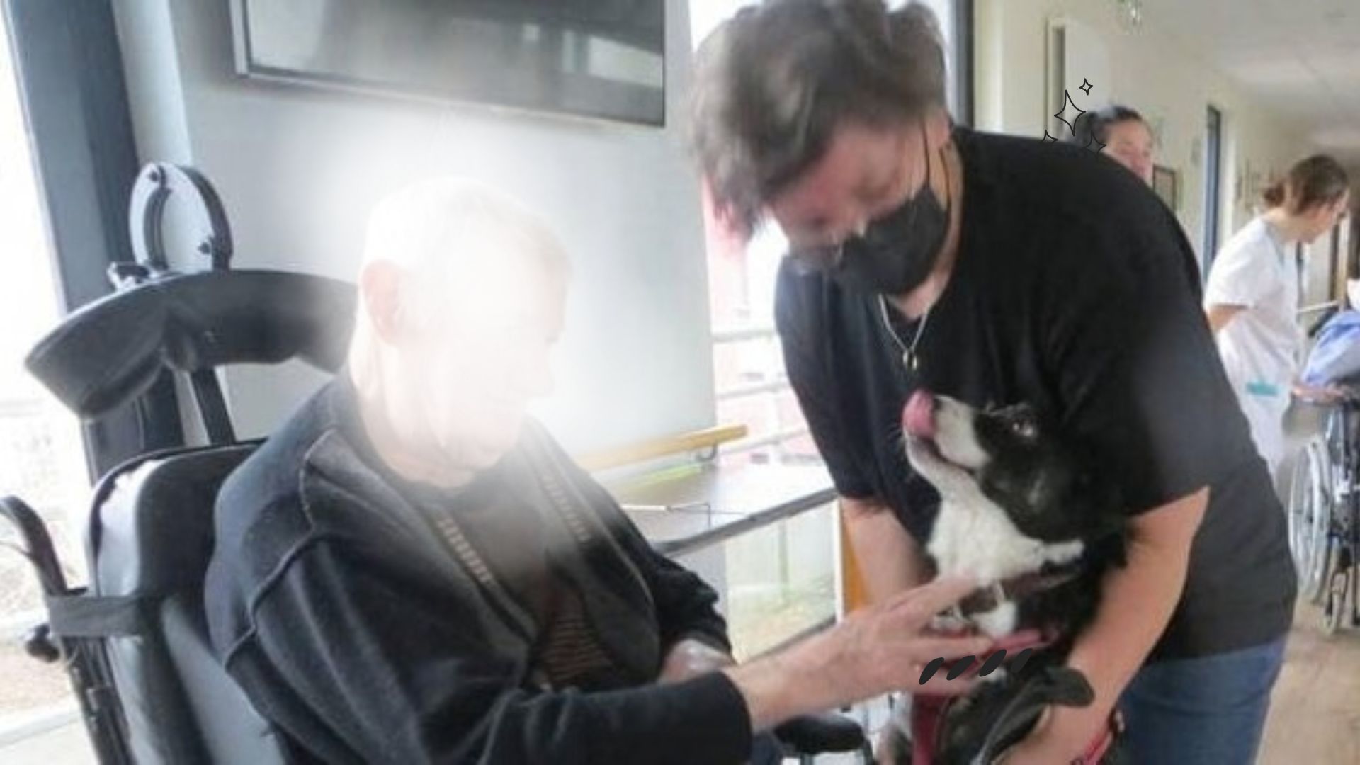 Bien-être, réconfort, apaisement, lien social : ces chiens visiteurs donnent du bonheur aux seniors